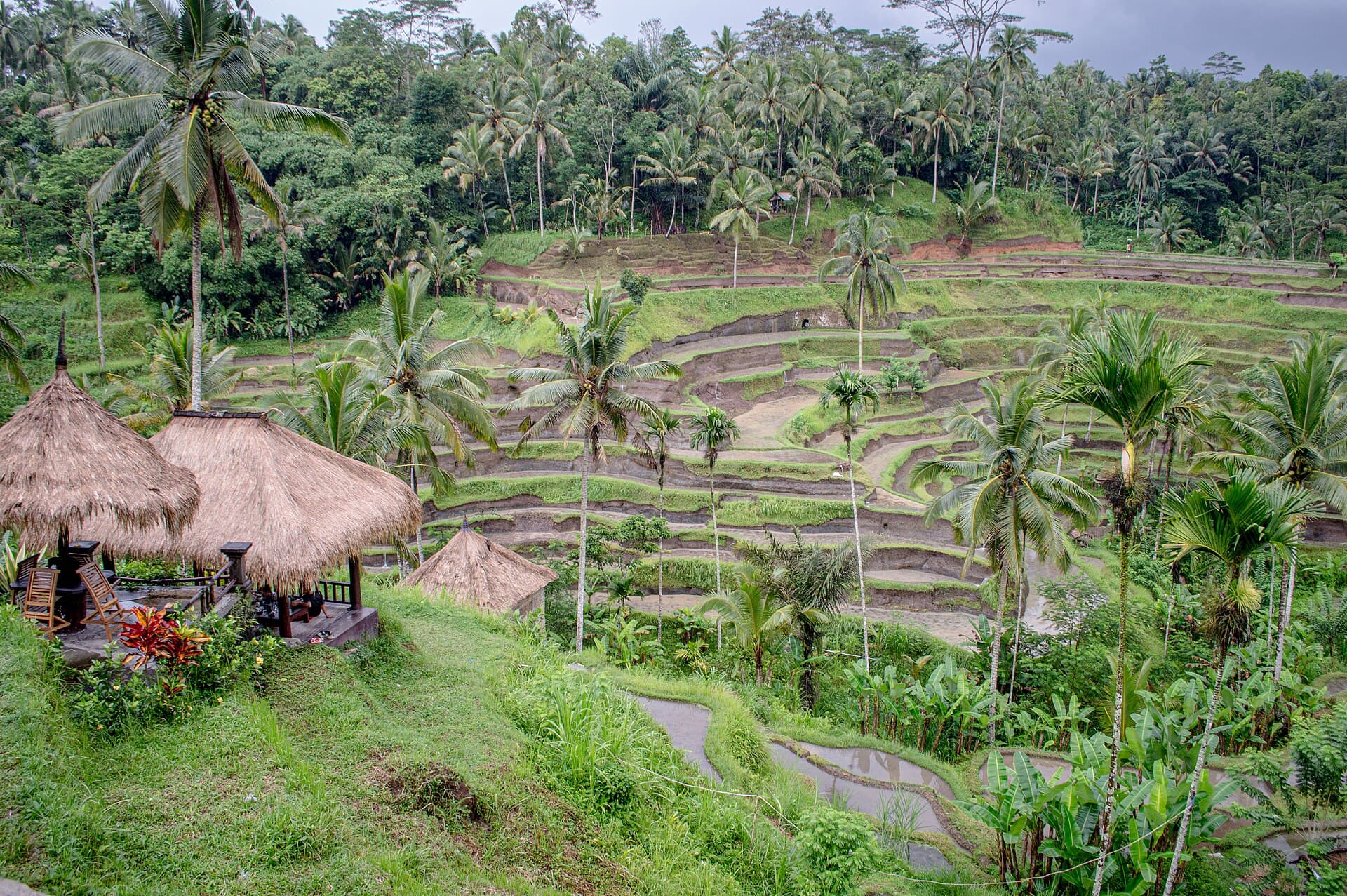 Beyond the beach clubs: a quieter Bali in Ubud